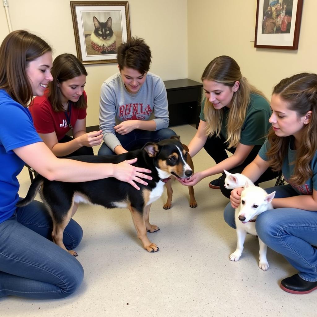 Mansell Campus Humane Society Volunteers