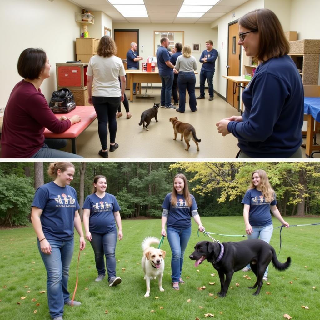 Volunteers at the Medina Humane Society interacting with cats and dogs