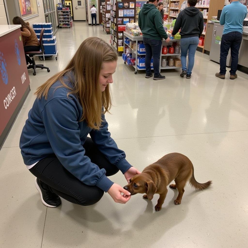 Meeting a Sioux Falls SD Humane Society Dog