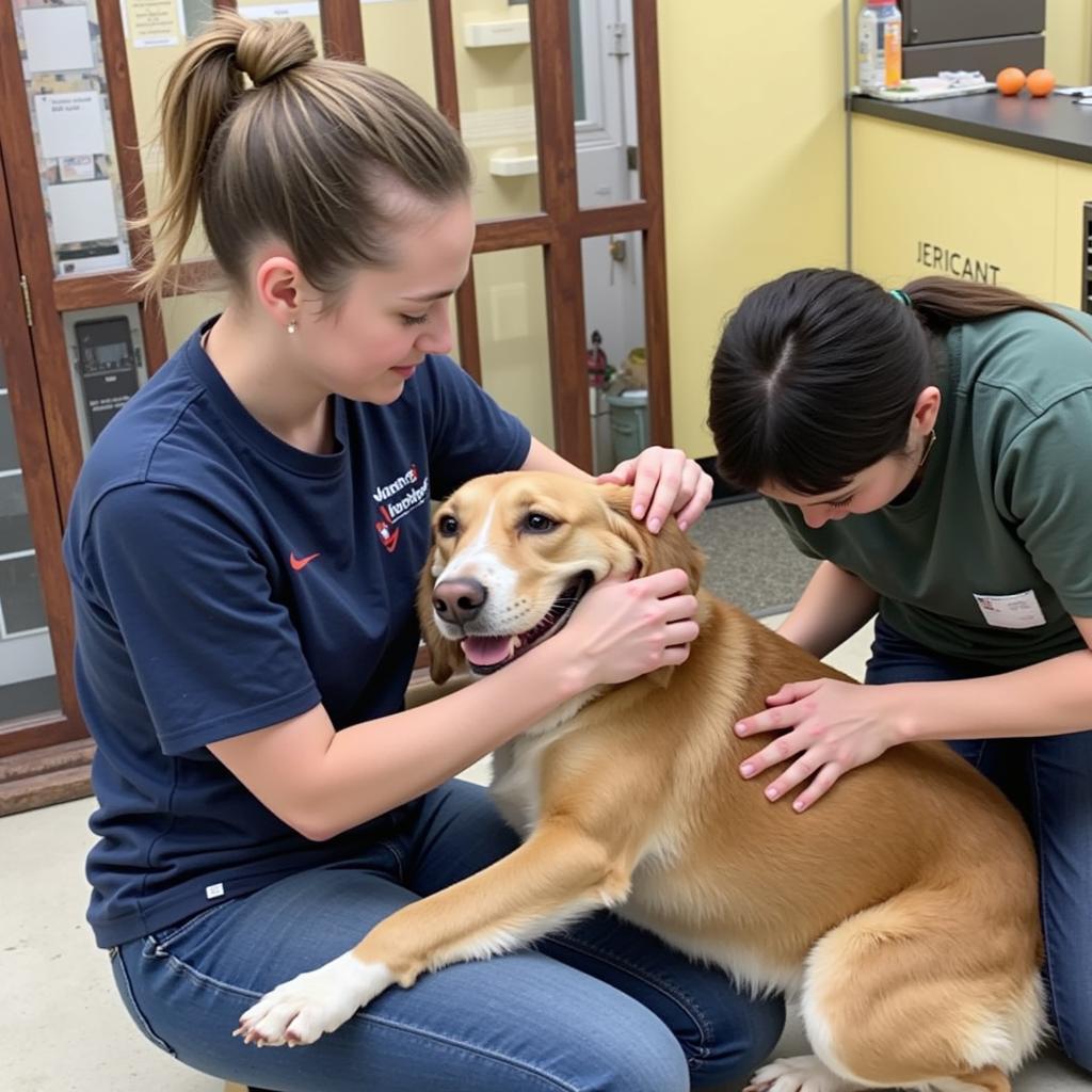 Volunteers at Merced Humane Society