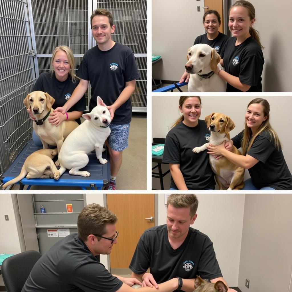 Mesabi Humane Society Volunteers Caring for Animals