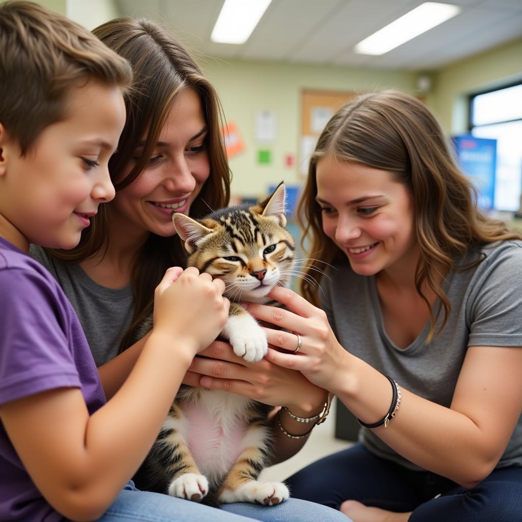 A loving family adopts a kitten