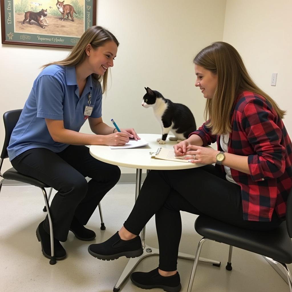 Cat Adoption Process at Nashua Humane Society