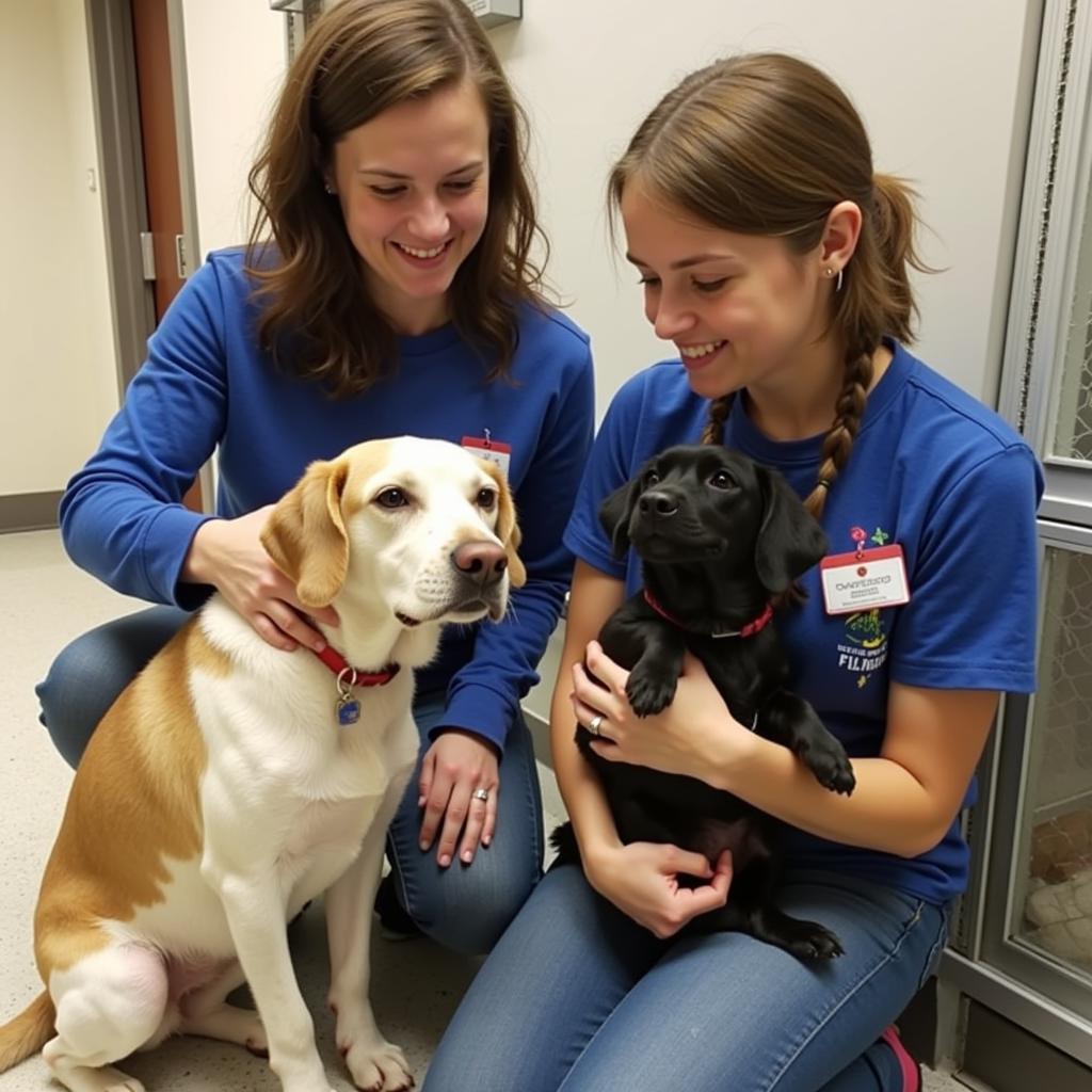 Volunteers Interacting with Animals at the Nassau Humane Society