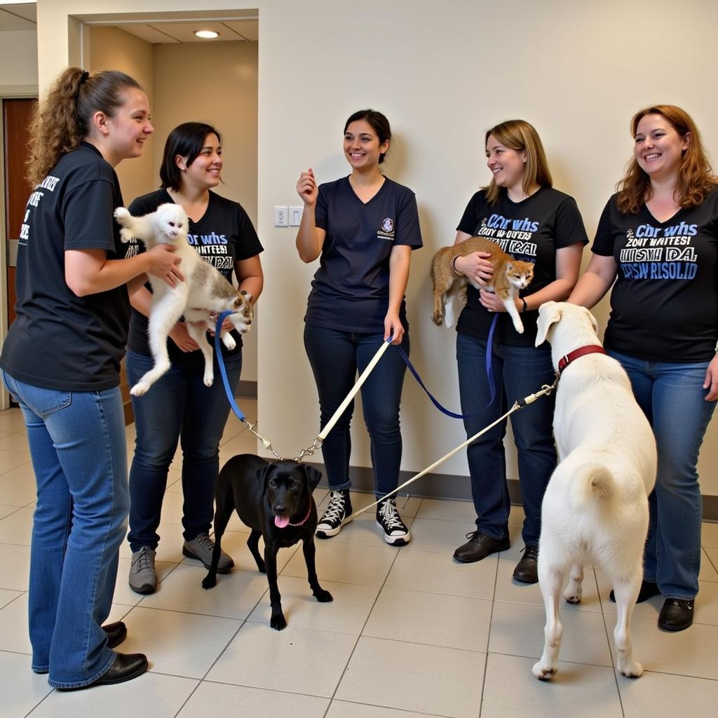 Northampton County Humane Society Volunteers