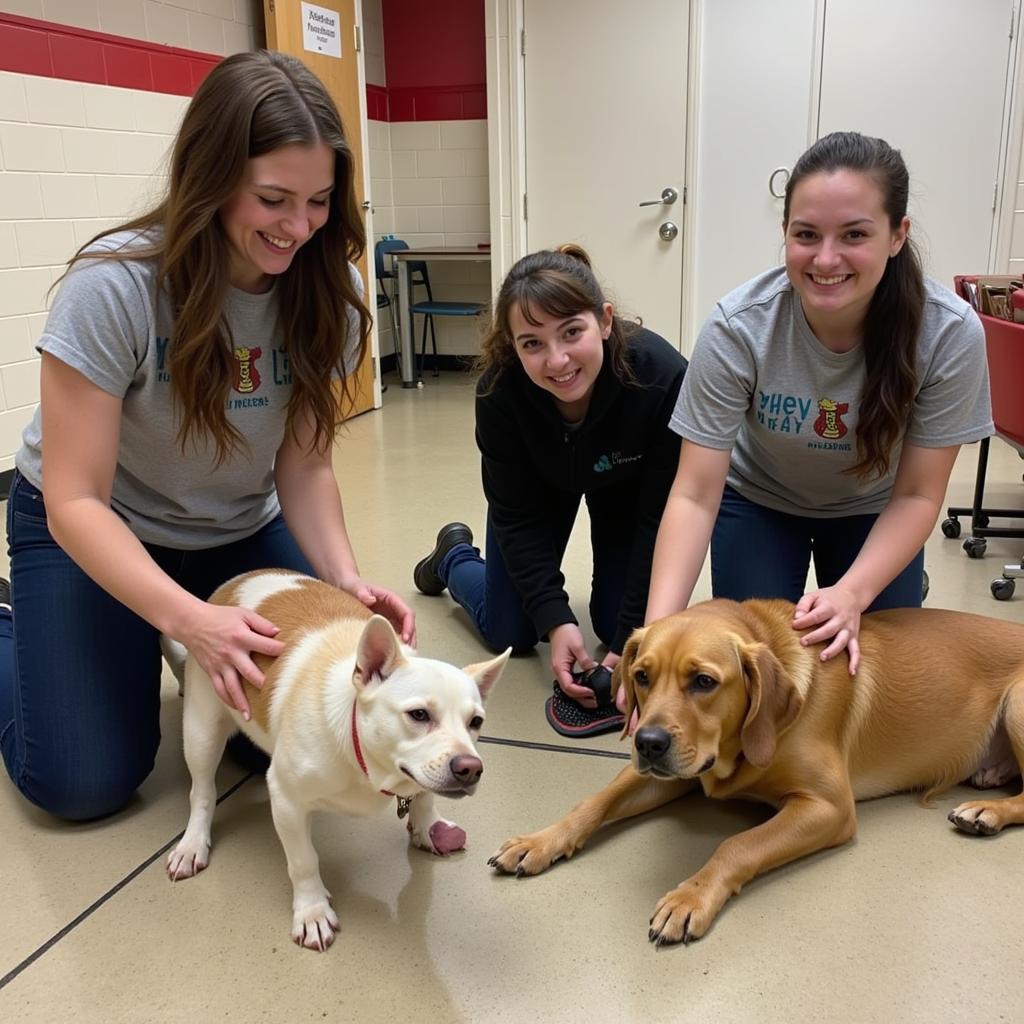 NE Iowa Humane Society Volunteers