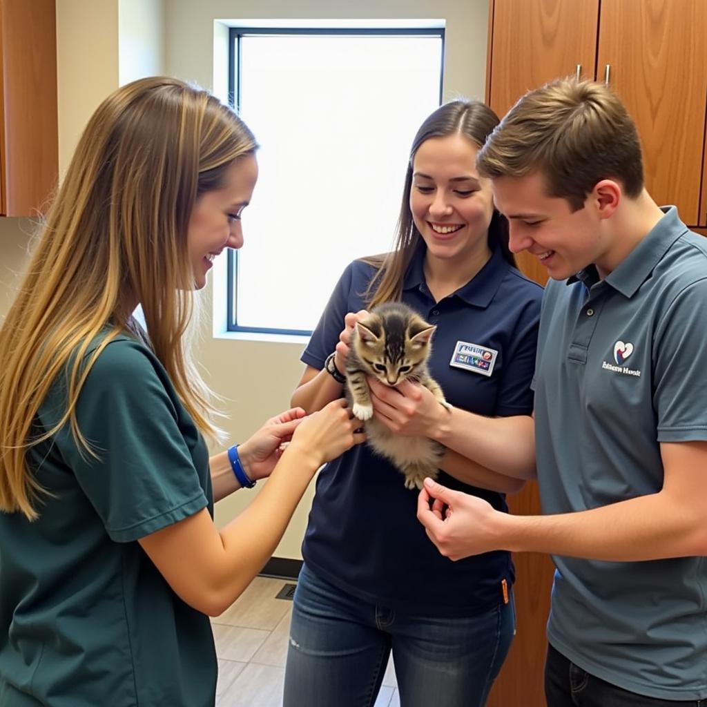 Cat Adoption at Neosho Humane Society