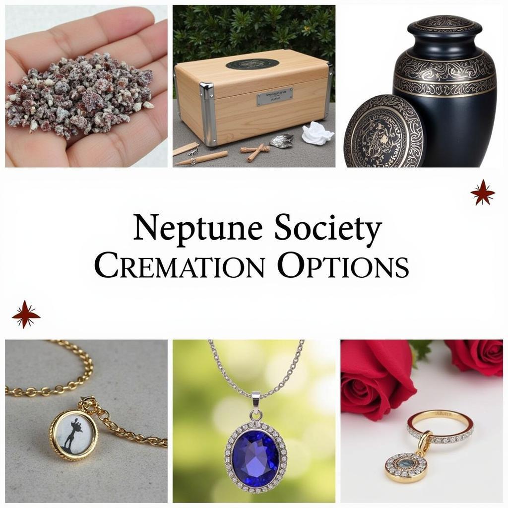 Neptune Society Cremation Options