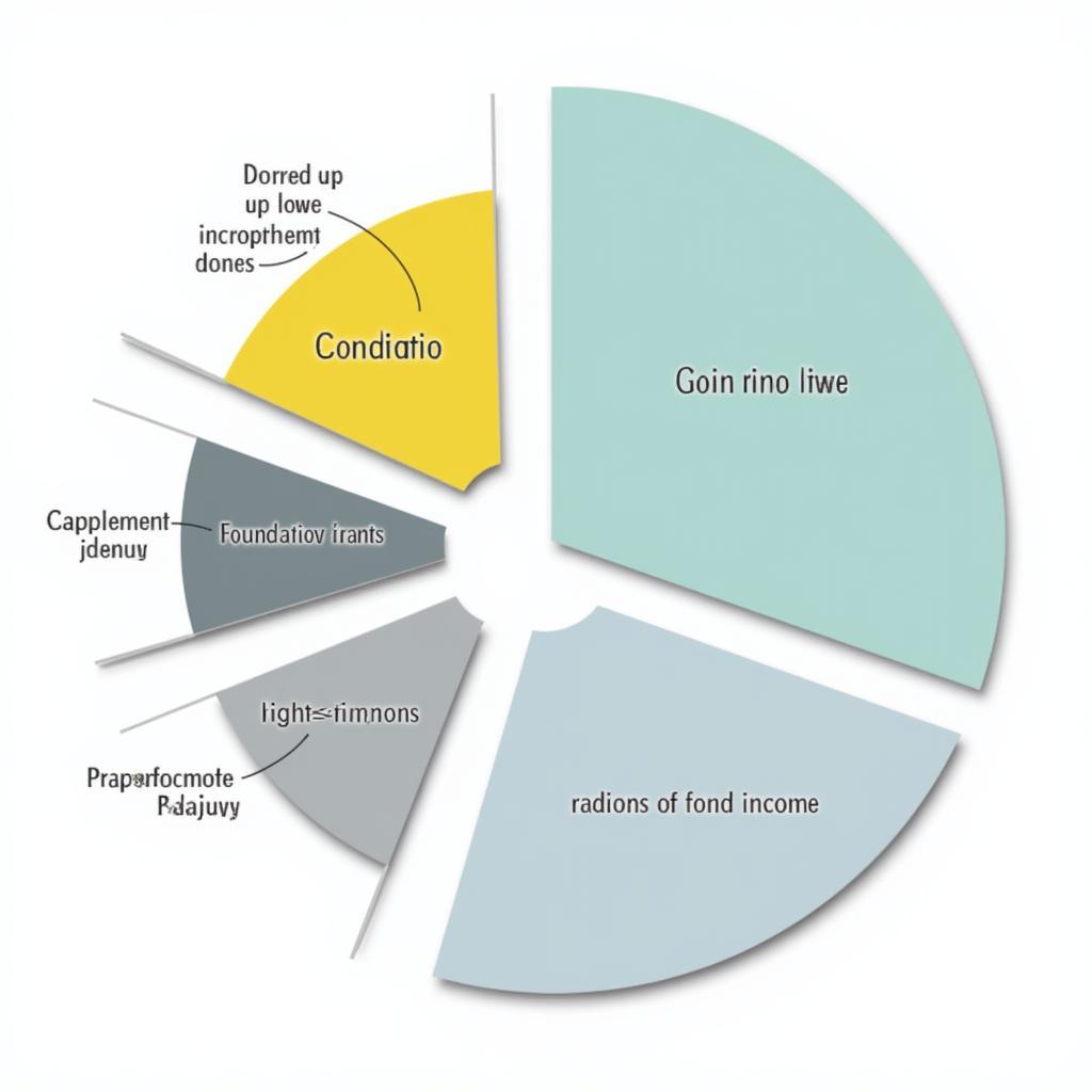 Chart showing various funding sources for nonprofits