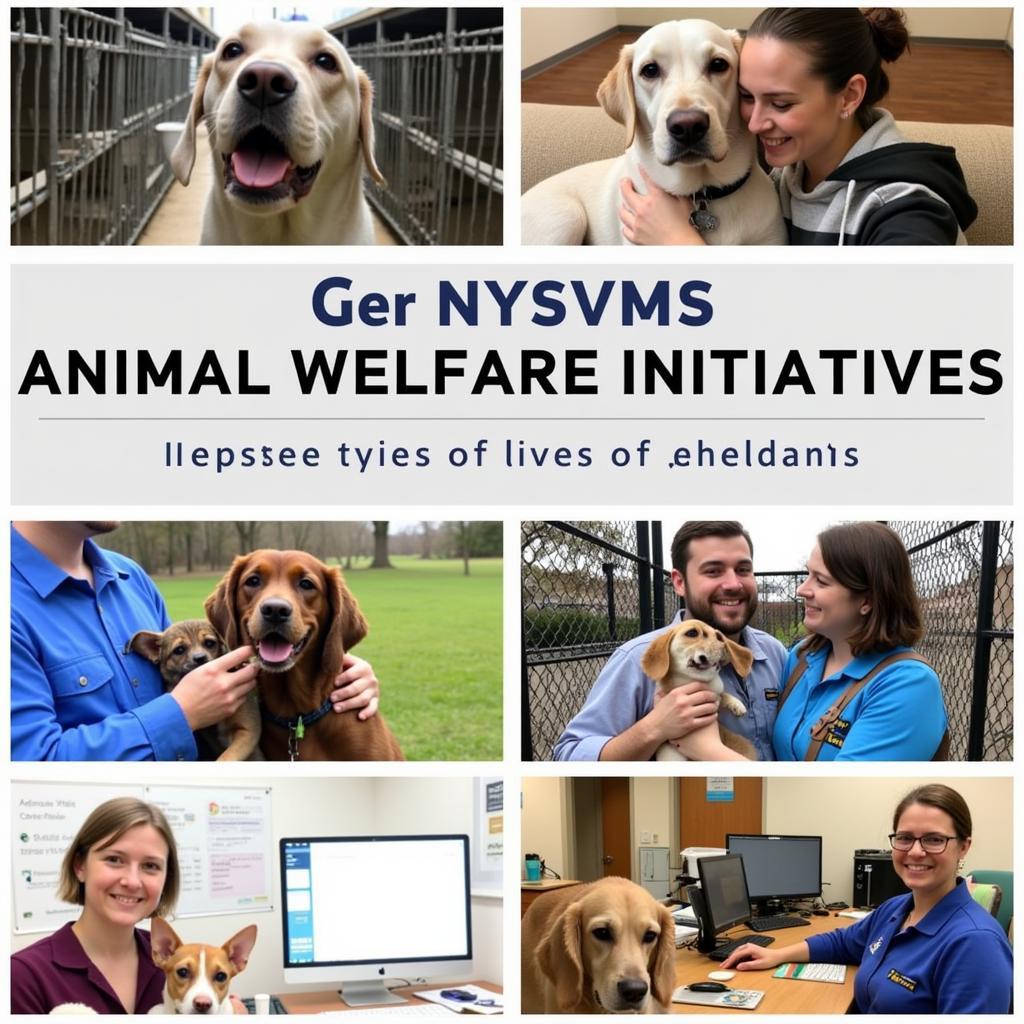 NYSVMS Animal Welfare Initiatives