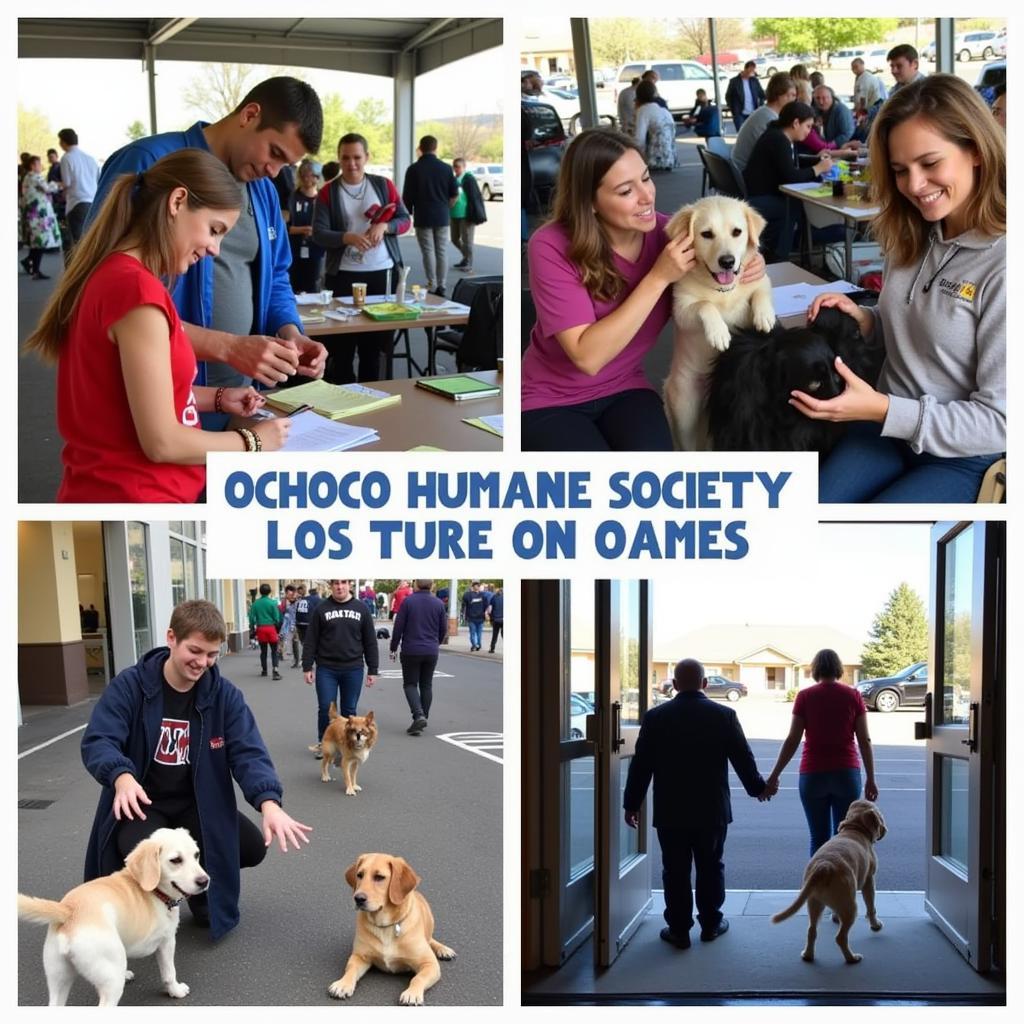 Successful adoption event at the Ochoco Humane Society