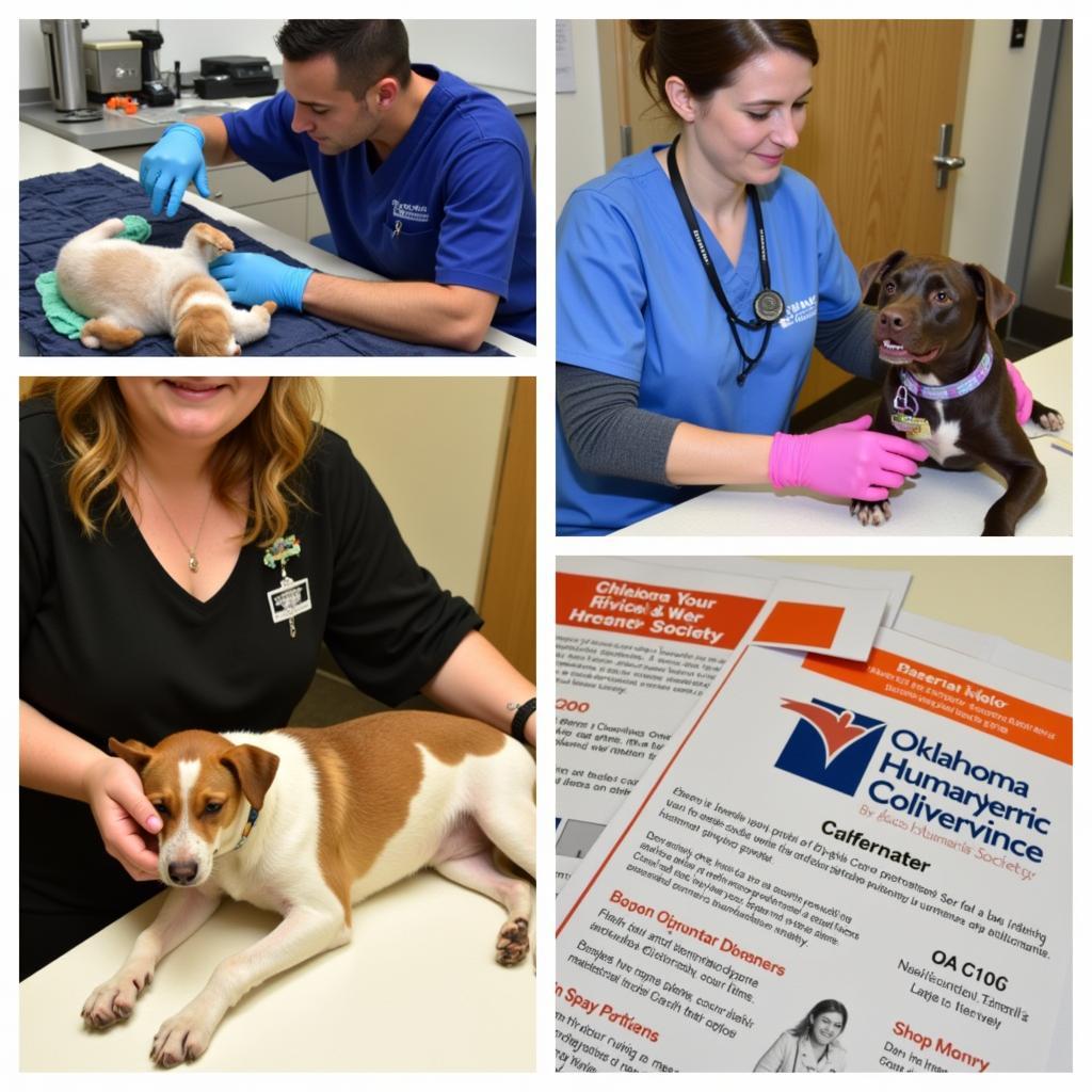 Spay and Neuter Services at Oklahoma Humane Society