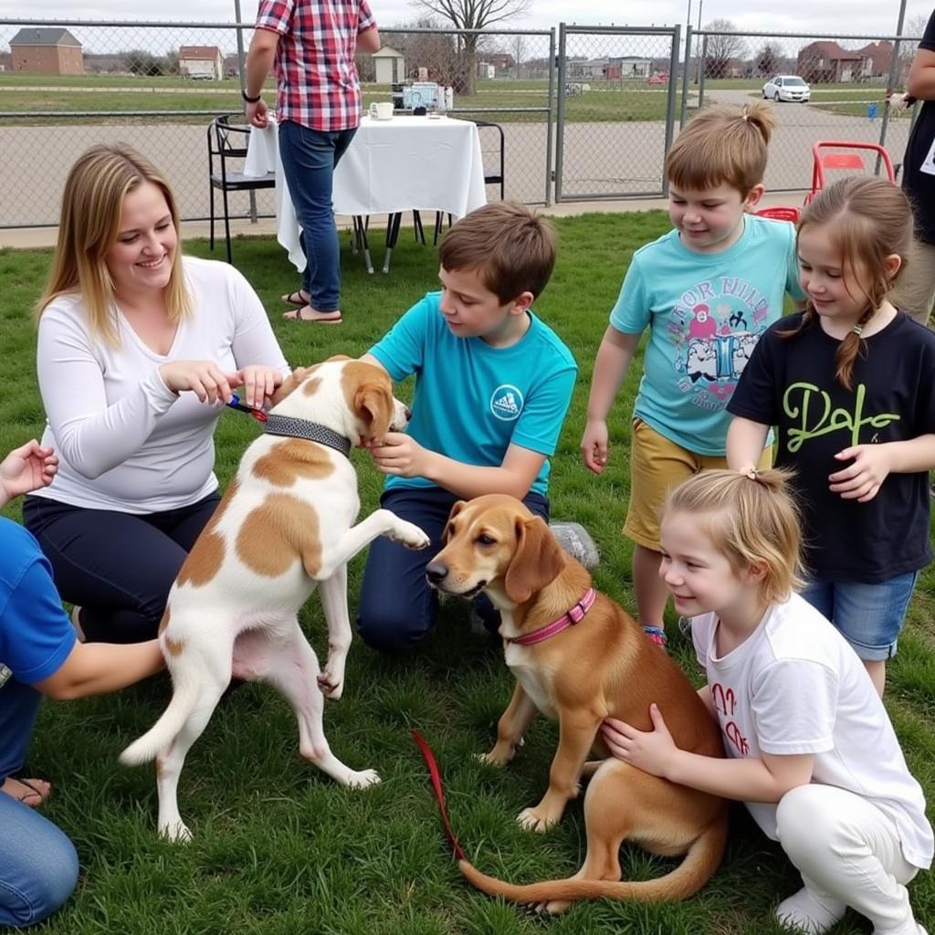 Papillion Humane Society Community Impact