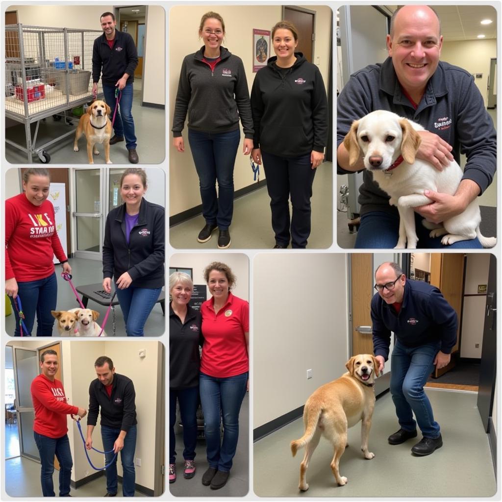 Volunteers working at the Pender Humane Society.