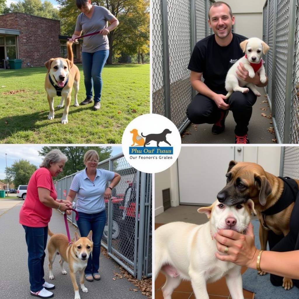 Volunteers Making a Difference at Pickens County Humane Society SC