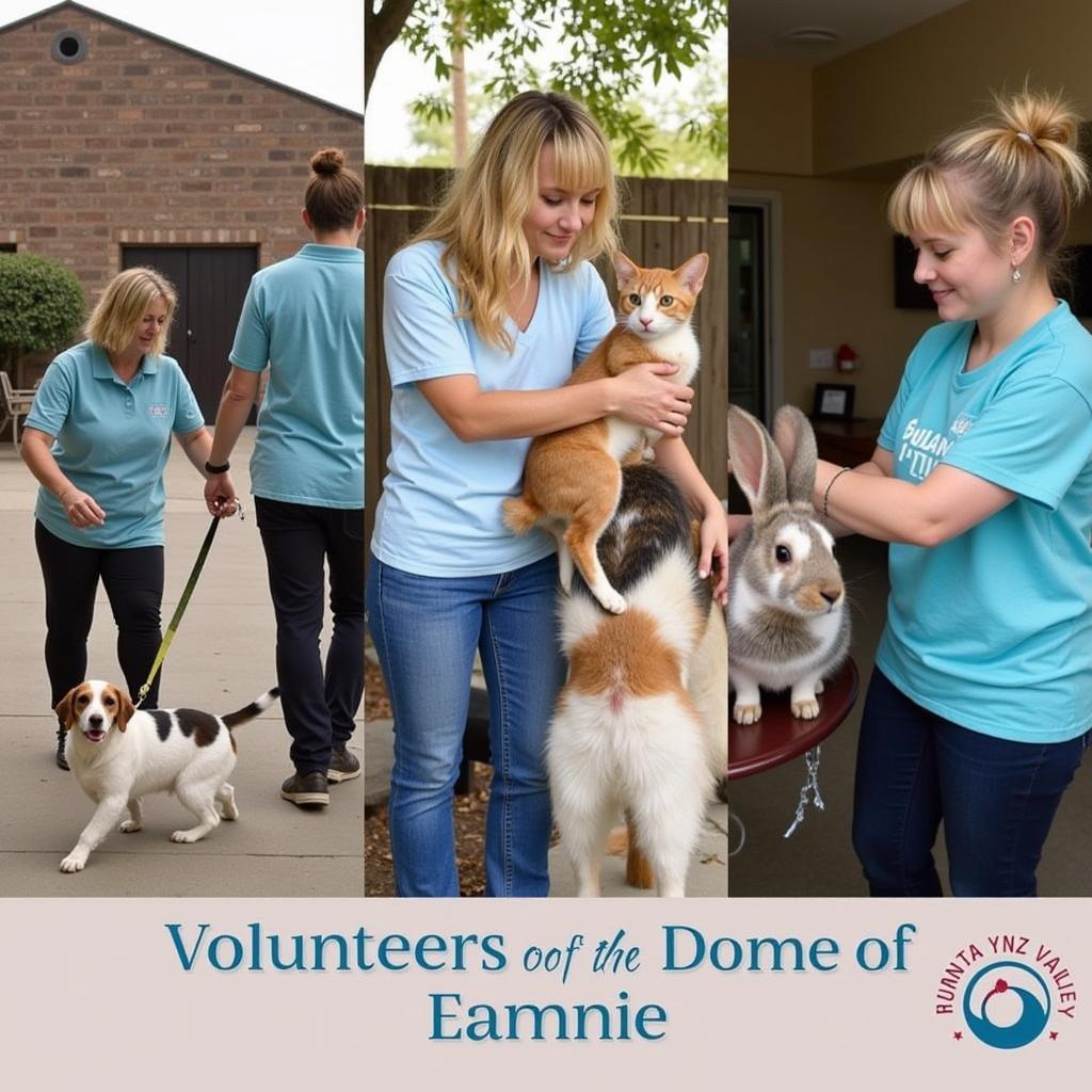 Santa Ynez Valley Humane Society Volunteers with Animals