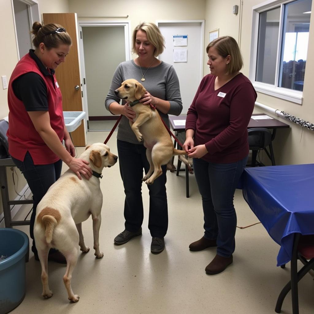 Volunteers at the Shawano County Humane Society WI