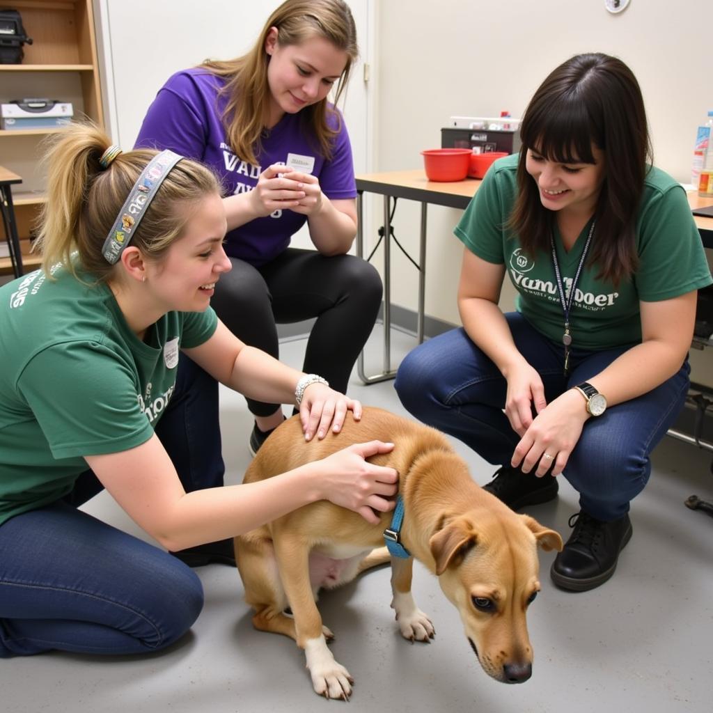 Sheboygan County Humane Society Community Outreach