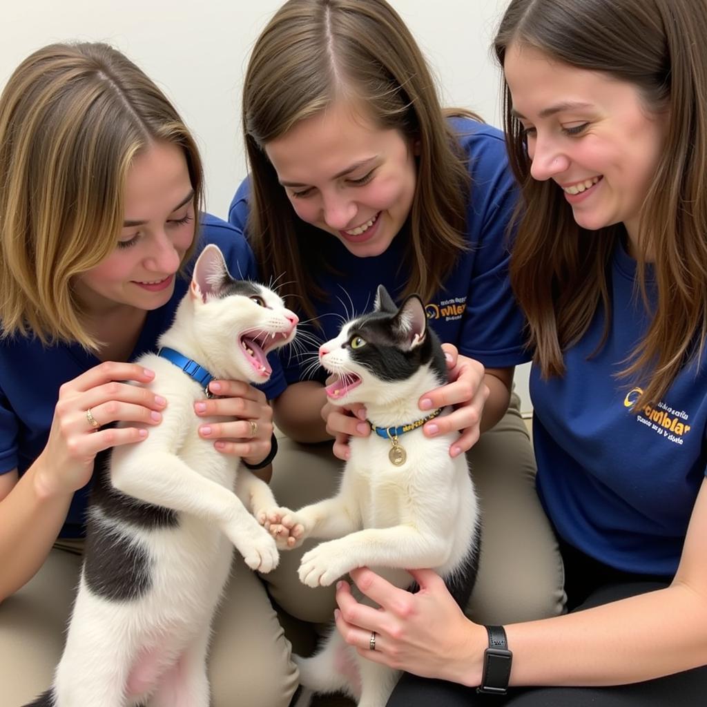 Volunteers at Shelby County Humane Society KY