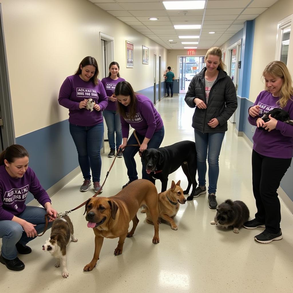 Volunteers at the Shepherd of the Hills Humane Society