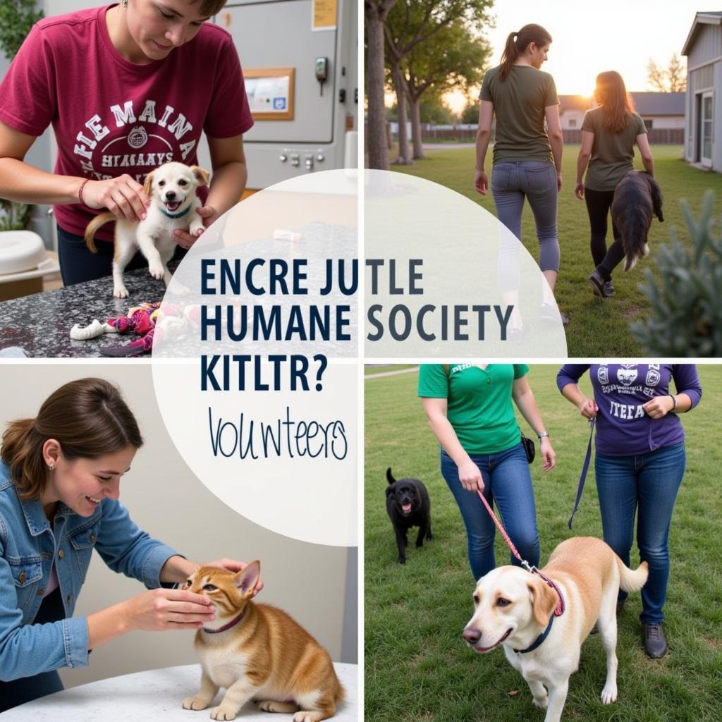 Volunteers at South Jordan Humane Society