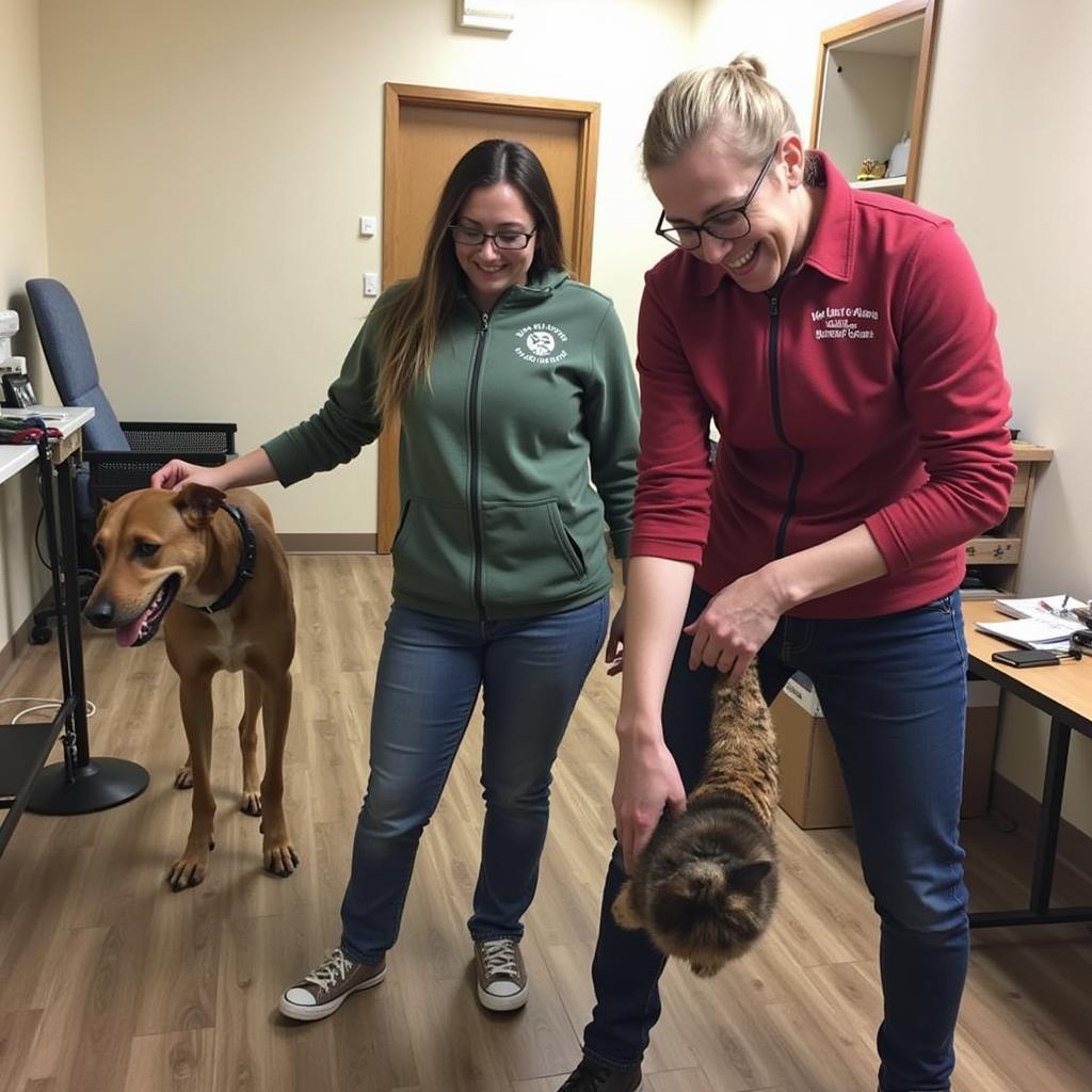 Volunteers Caring for Animals at the SPRHS