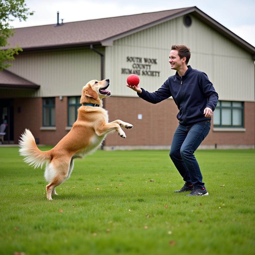 A dog playing with a volunteer at the South Wood County Humane Society