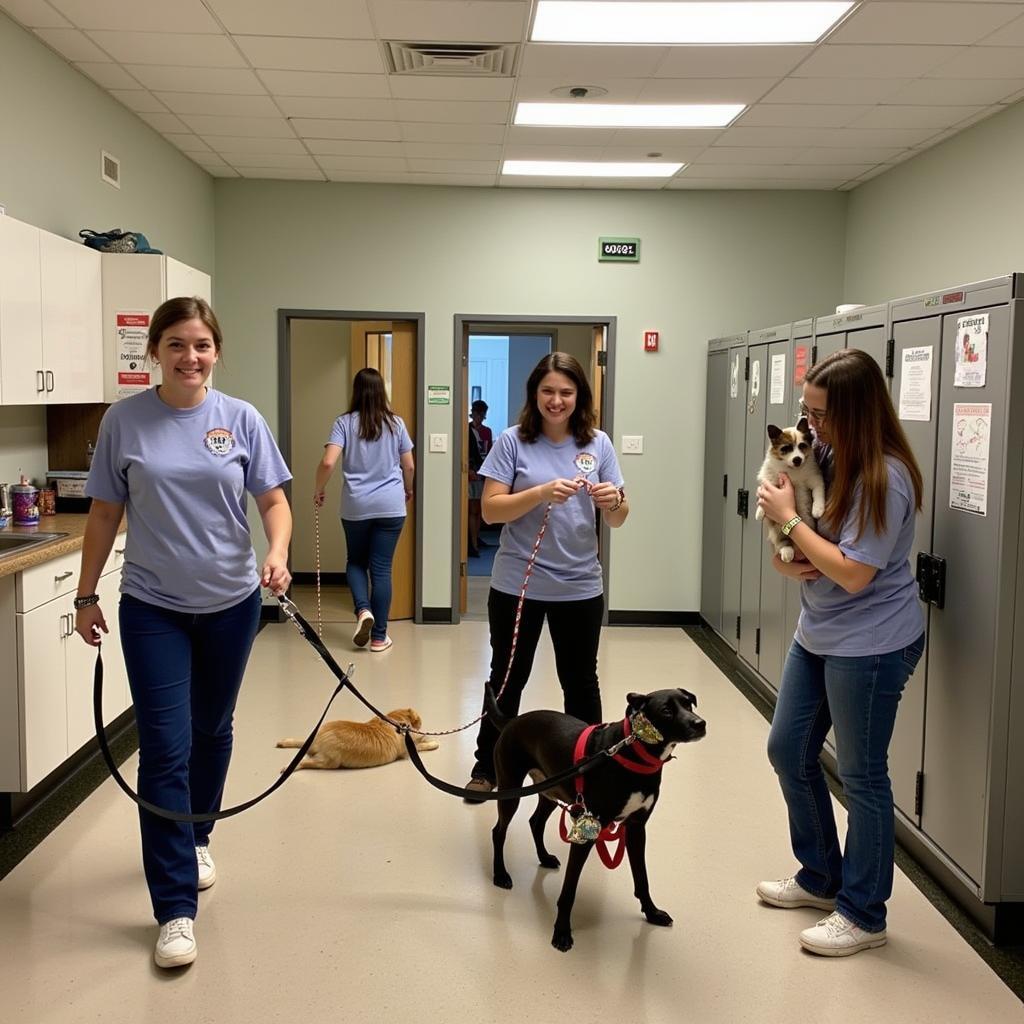 Volunteers Caring for Animals at the St. Johns County Humane Society