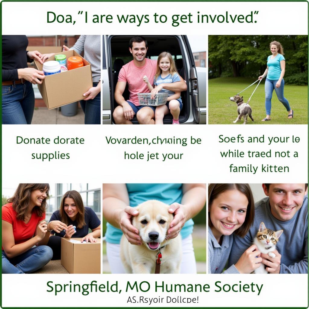 Ways to support the Springfield MO Humane Society