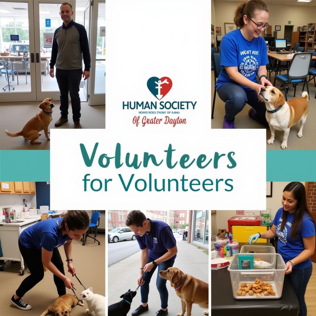 Supporting the Humane Society of Dayton through Volunteering