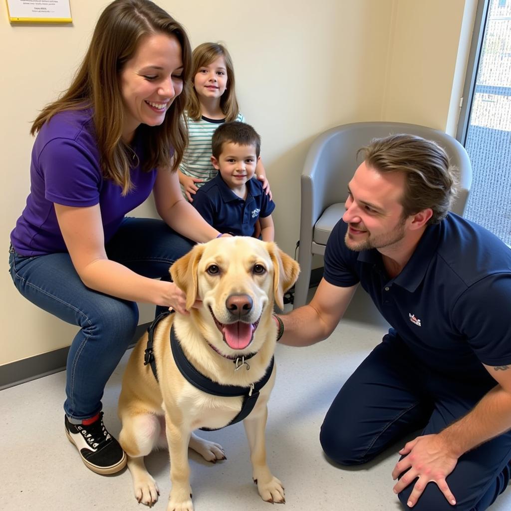 The adoption process at the Sussex Humane Society involves meeting the animals, completing an application, and ensuring a good match.