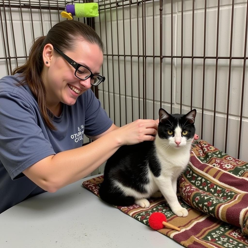 Thompson Falls Humane Society Volunteer Caring for Cat