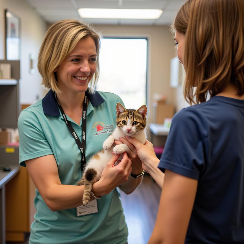 Cat adoption at the Tippecanoe Humane Society