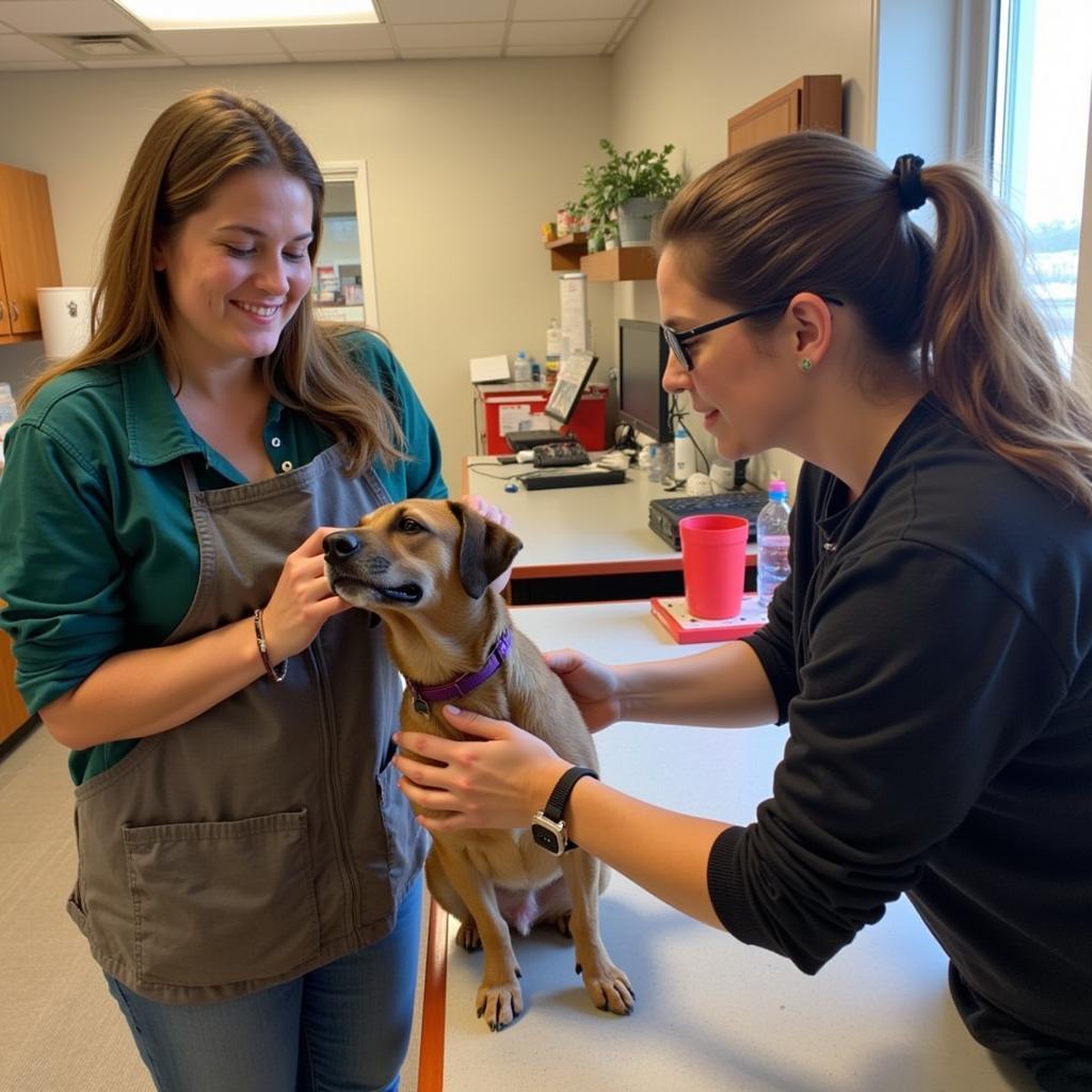 Viroqua Humane Society Volunteers: Volunteers caring for animals at the shelter.