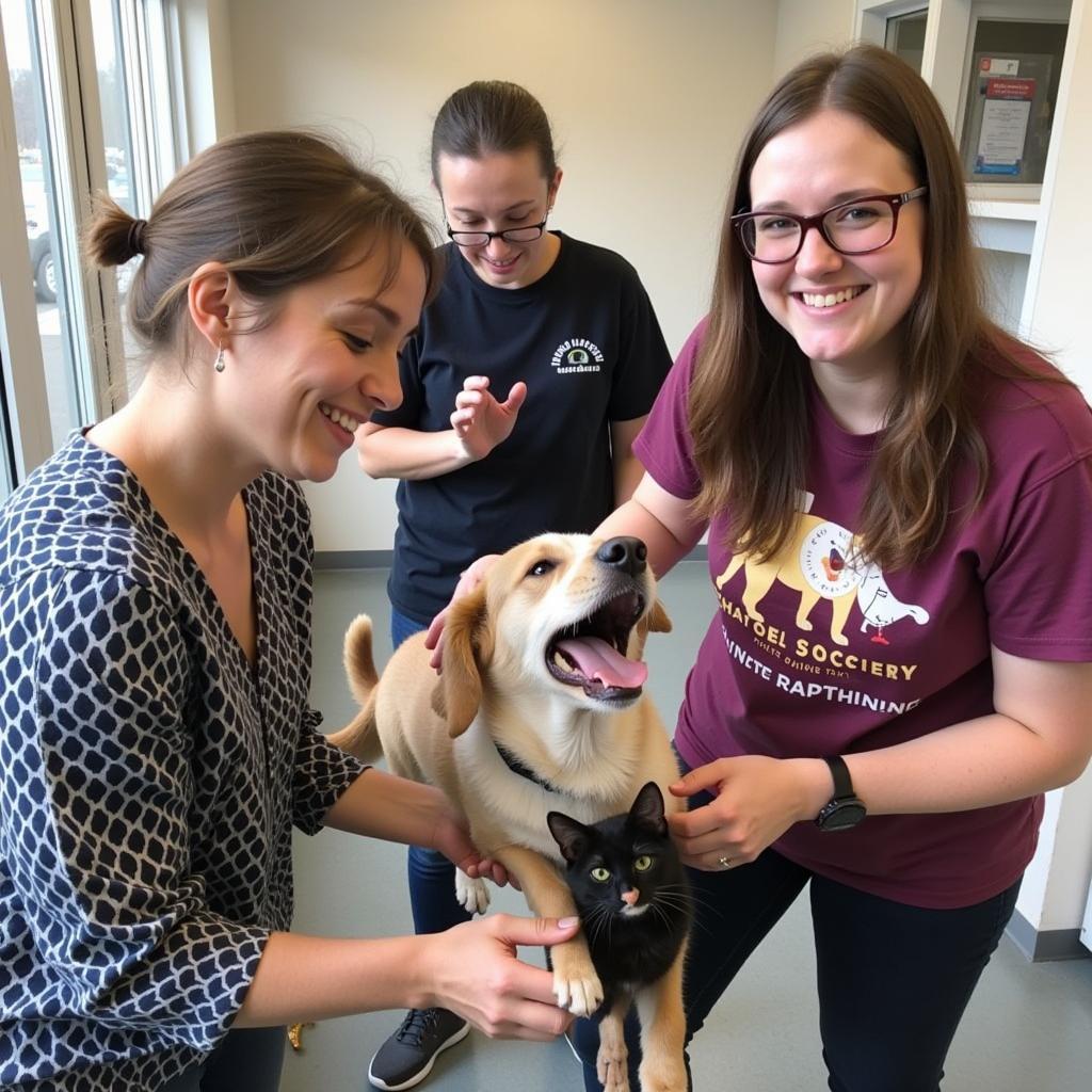 Volunteering at the Burnett County Humane Society