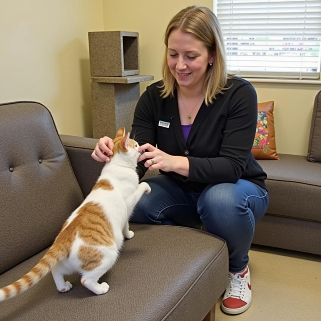 Volunteering at the Cherokee County Humane Society