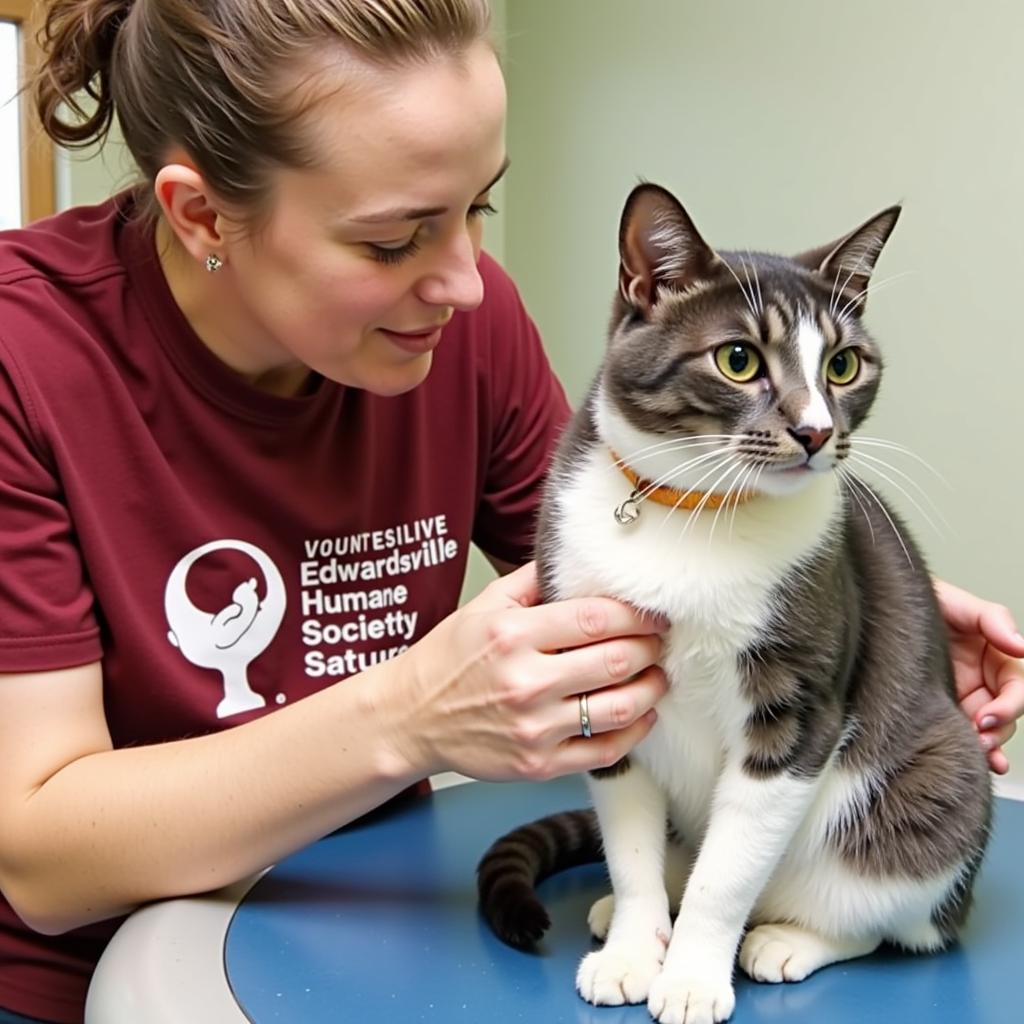 Volunteering at Edwardsville Humane Society