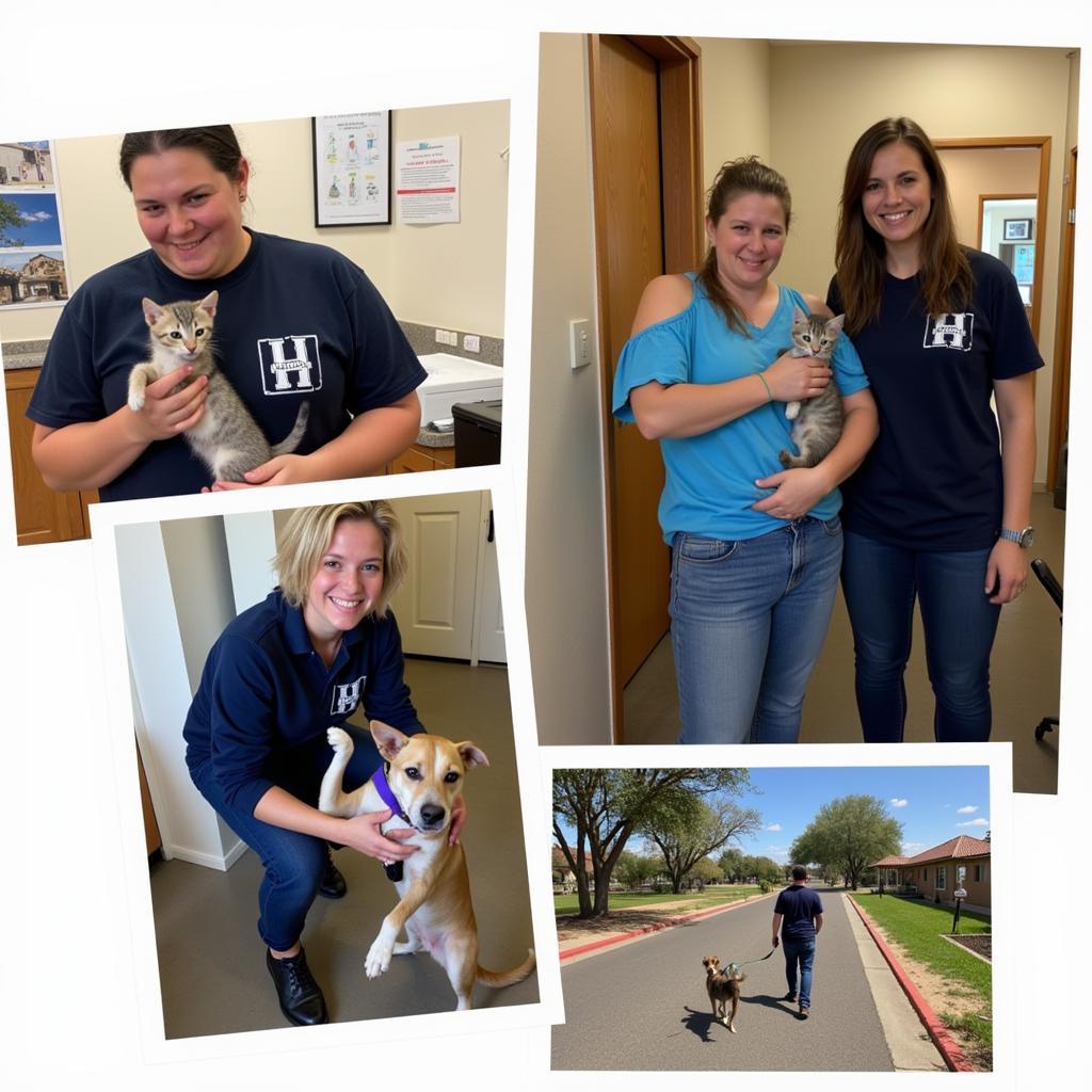 Volunteering at the El Centro Humane Society