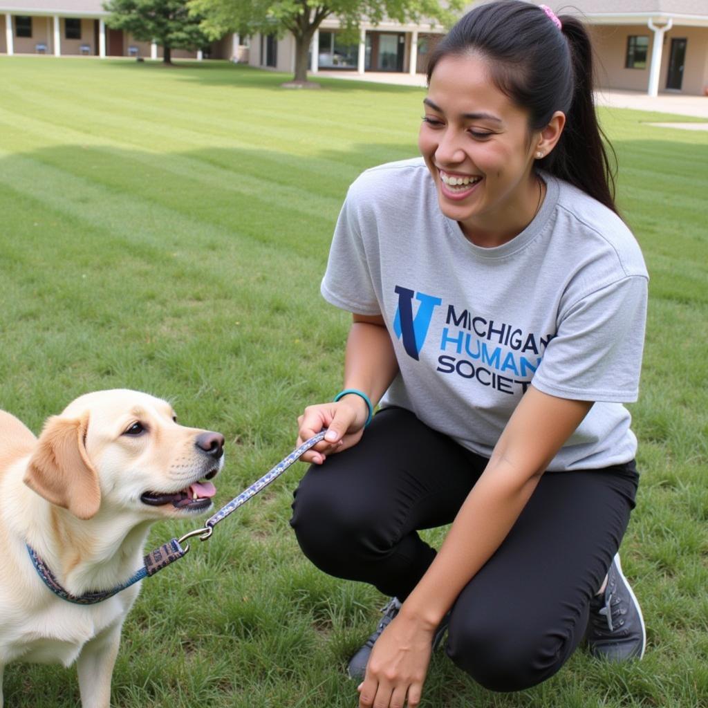 Volunteering at Michigan Humane Society Rochester