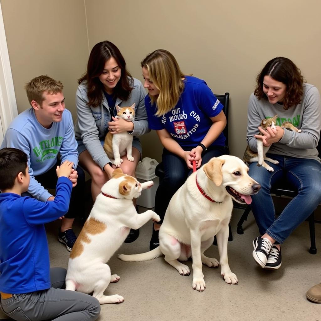 Making a Difference: Volunteering at the Southwest MO Humane Society