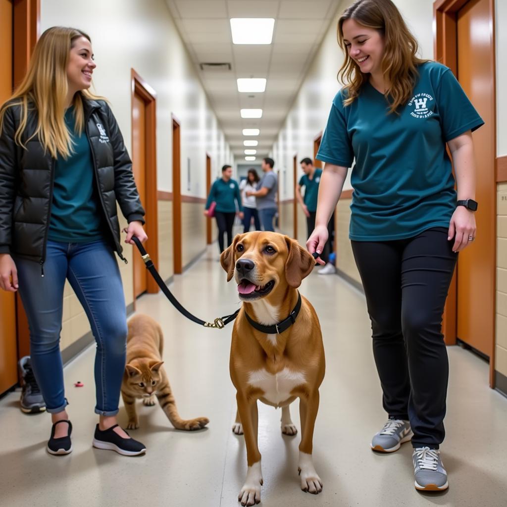 Volunteering at the Washington County Humane Society