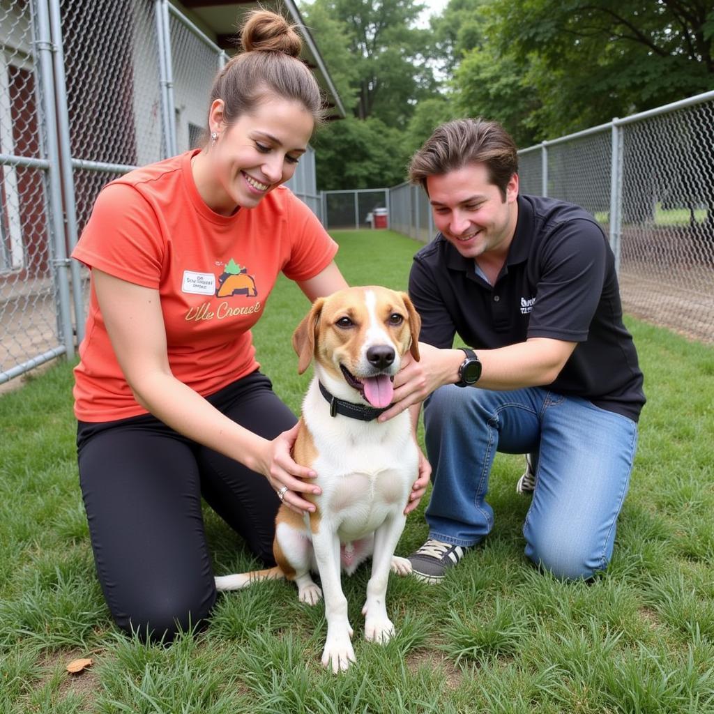 Volunteering at the Humane Society