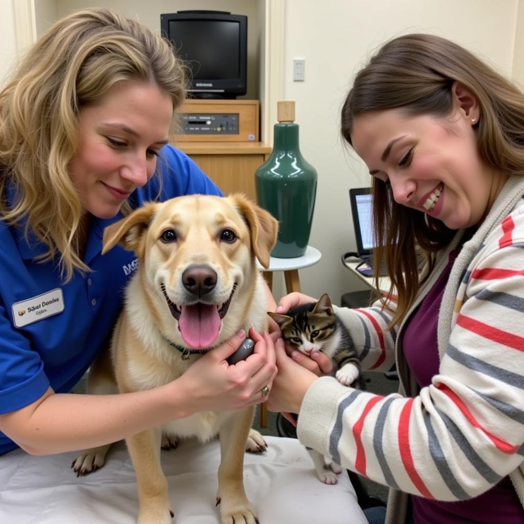 Volunteers Caring for Animals at Mondak Humane Society