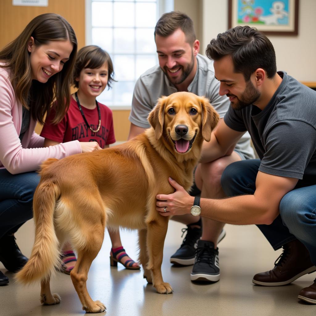 Waterville Humane Society Dog Adoption