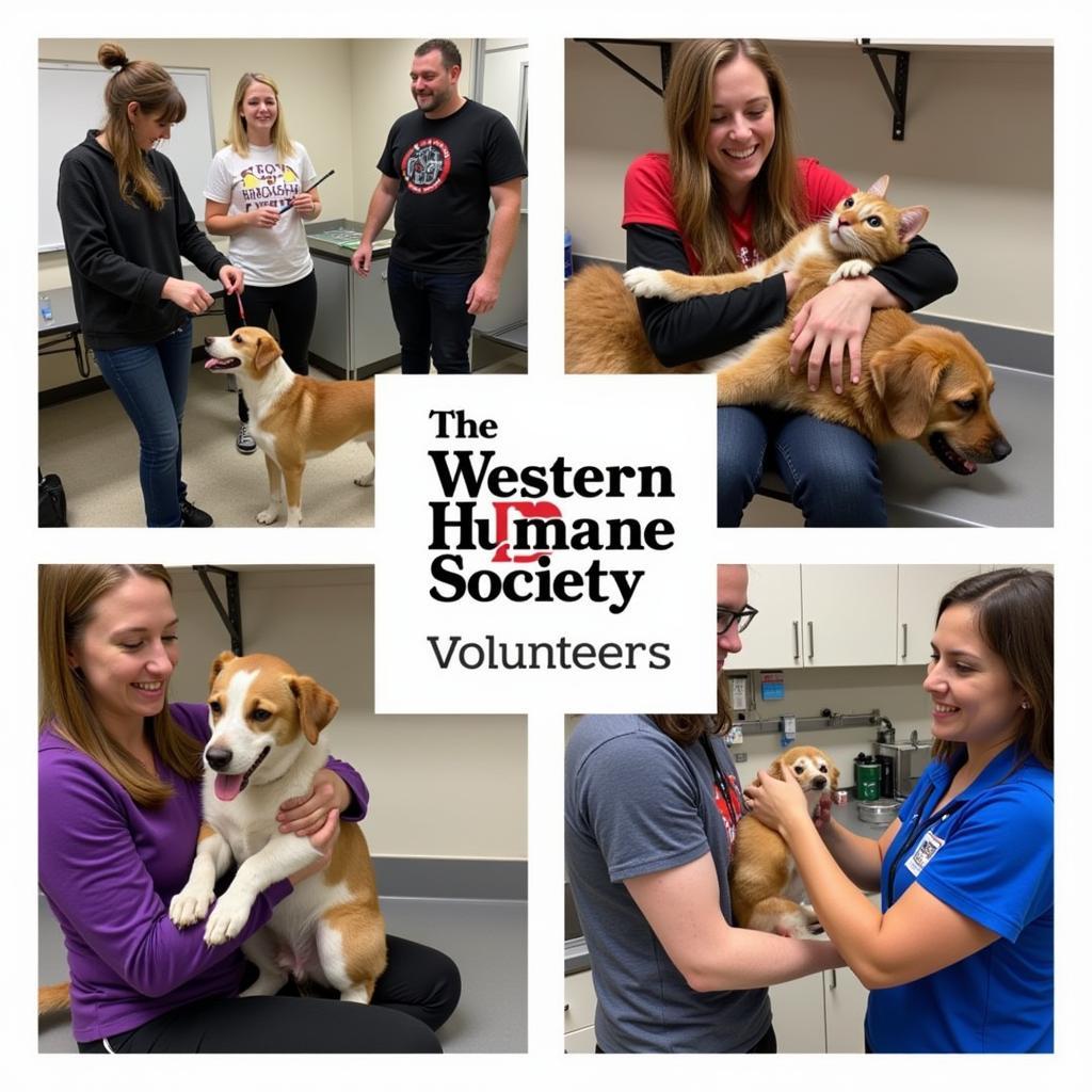 Western PA Humane Society Volunteering