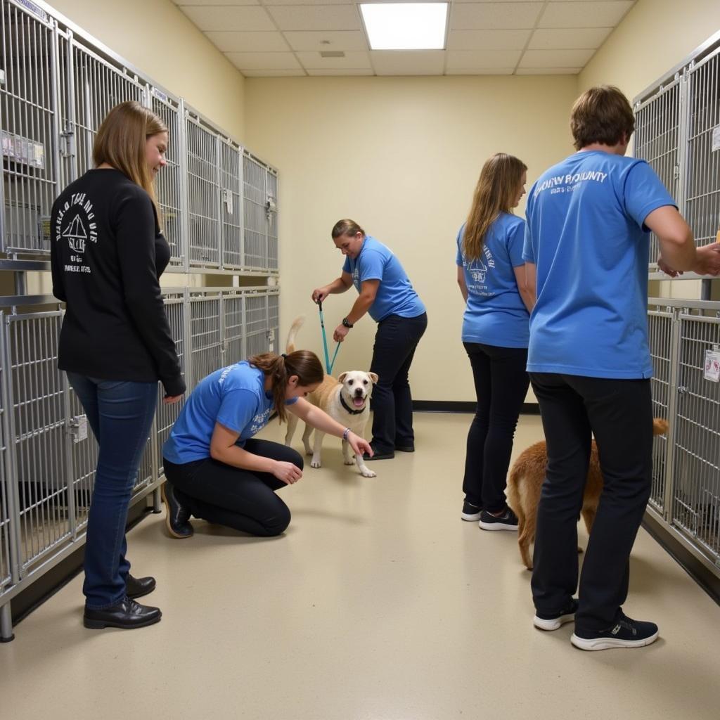 Volunteers at the Young County Humane Society