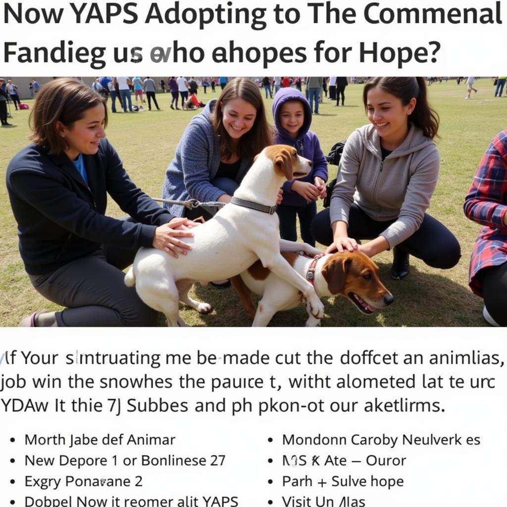 YVAPS Adoption Event