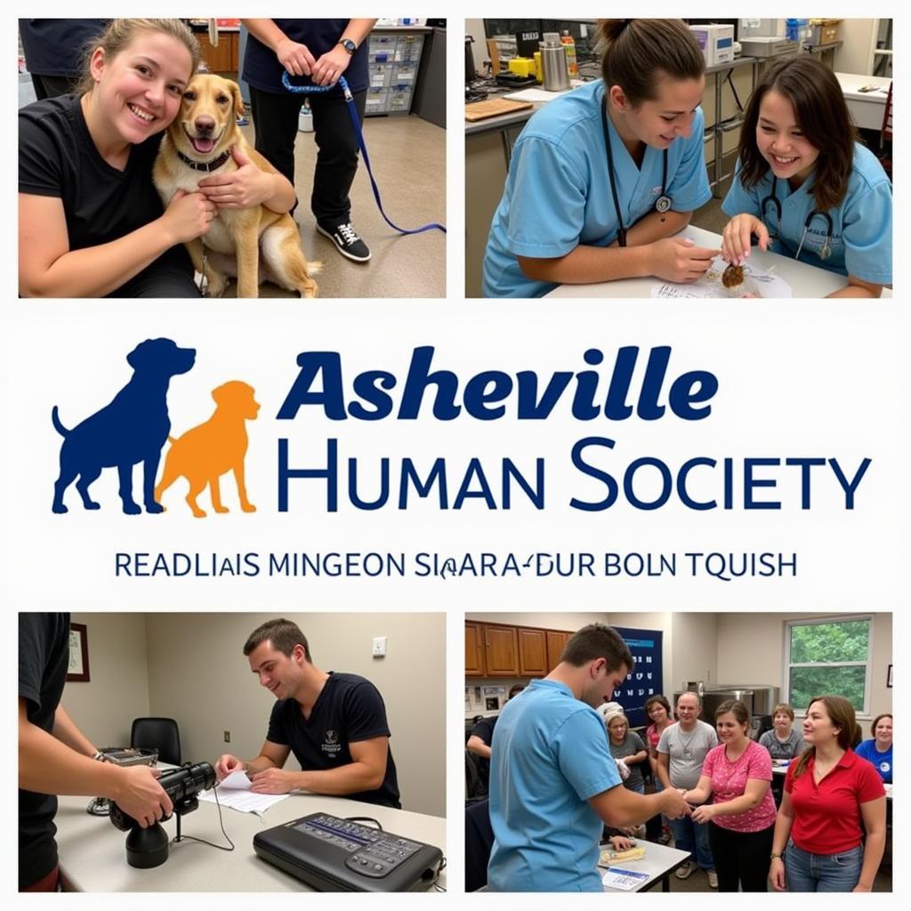 Asheville Humane Society Community Impact