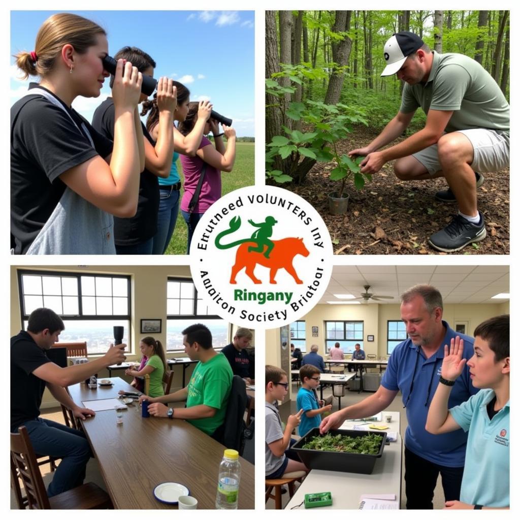 Volunteers participating in Audubon Society activities, including bird watching, habitat restoration, and educational outreach.