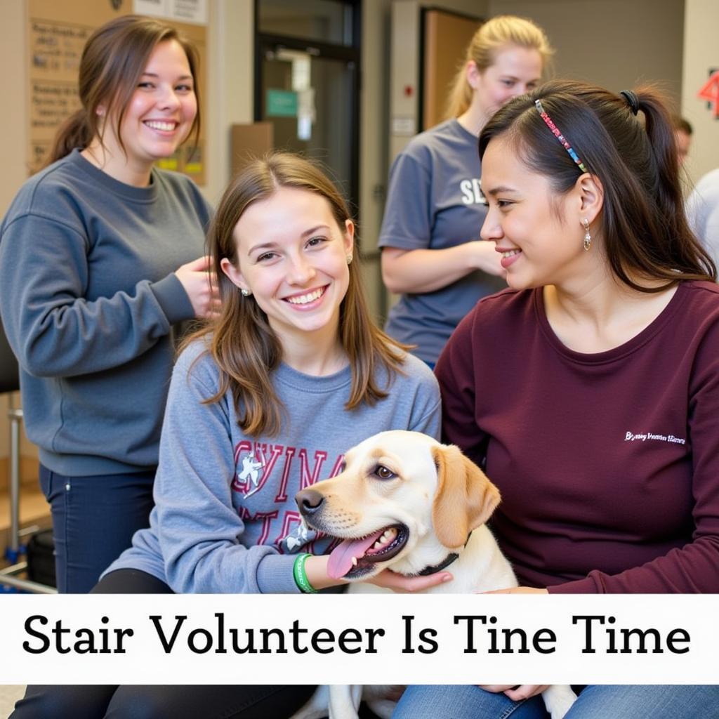 Volunteers at the Bryant Humane Society